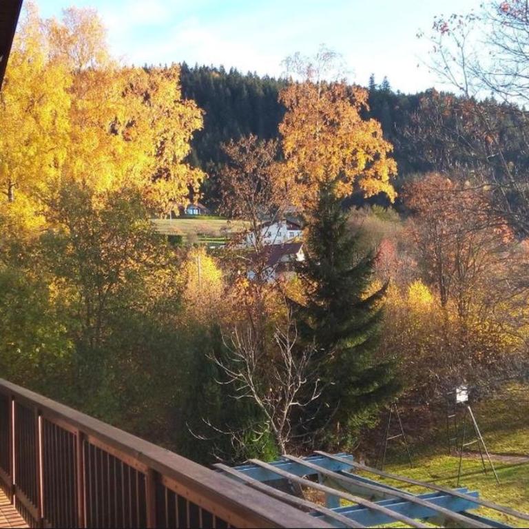 Chalet Les Chardons - Chalet - 16