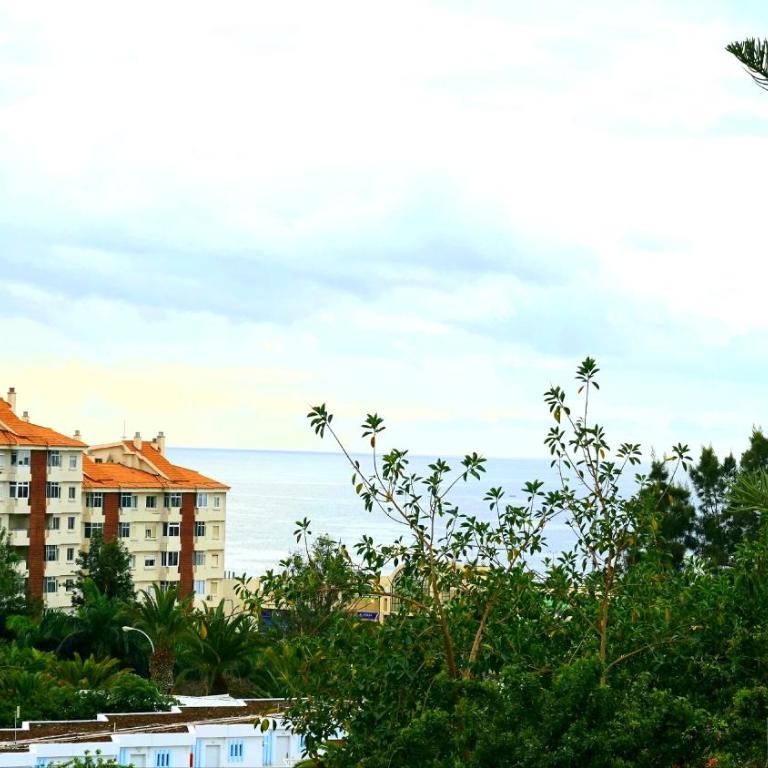 Relax - Apartamento de 1 dormitorio - 11