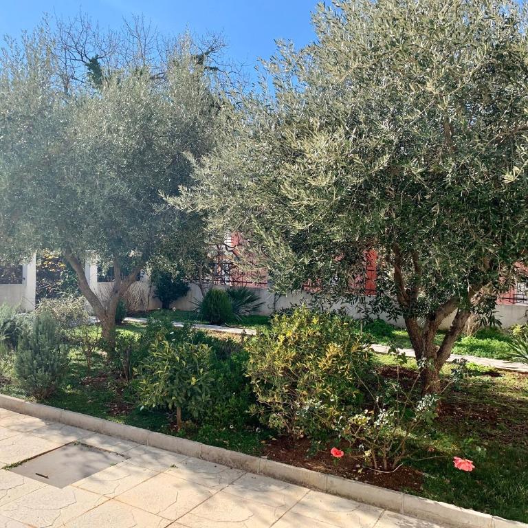 Sunday Apartment Petrovac - One-Bedroom Apartment - 21