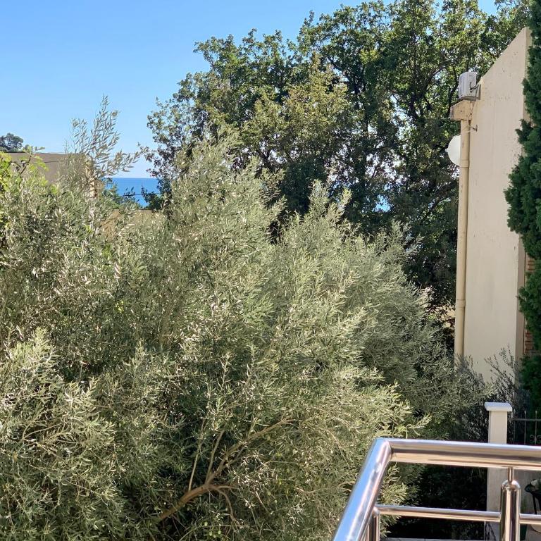 Sunday Apartment Petrovac - One-Bedroom Apartment - 16