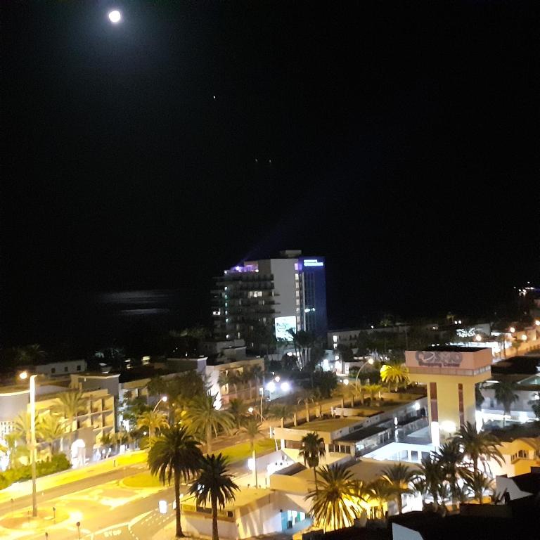 PLAYA MIRAR in Palm Garden - Apartamento de 1 dormitorio - 30