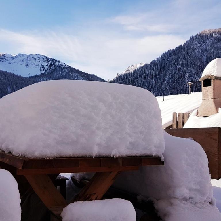 Haus Edelweiss Alpine Chalet near Samnaun - Ferienhaus - 55