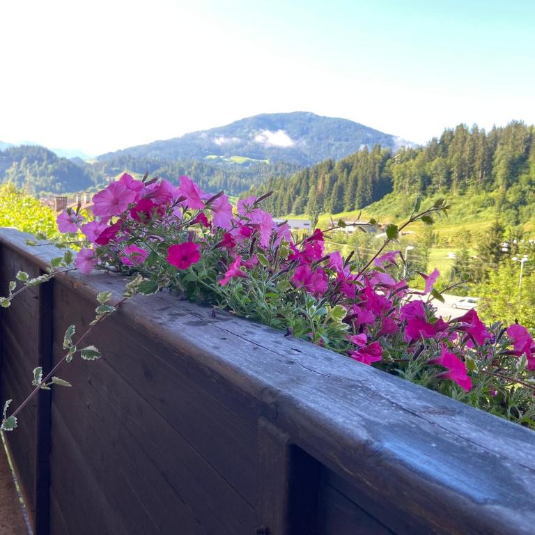 Haus Lukas - Apartment mit Blick auf die Berge - 1