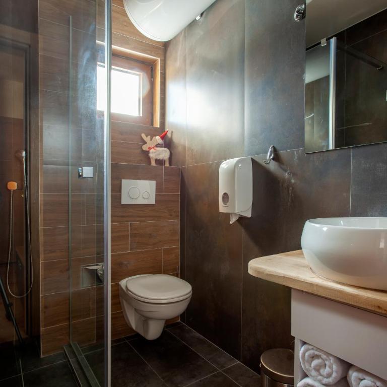 Chalet Vrhovi Kopaonika - Studio with Terrace - 8