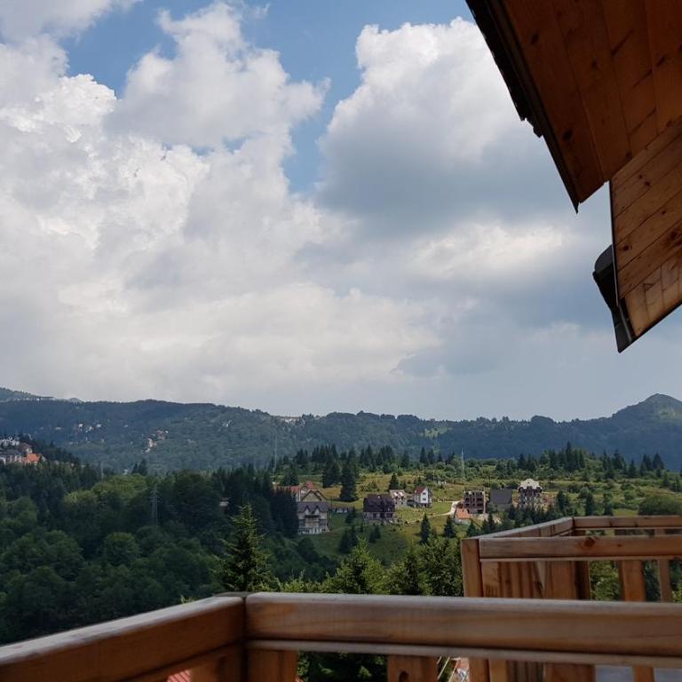 Chalet Vrhovi Kopaonika - Studio with Terrace - 2