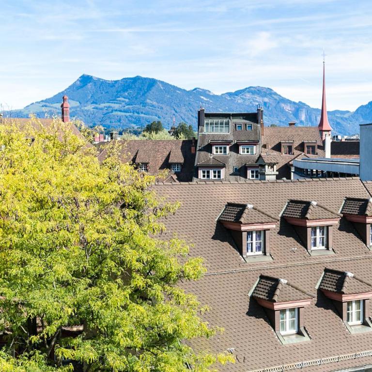 AirHosted - Lucerne City Centre - Apartment mit 2 Schlafzimmern - 1