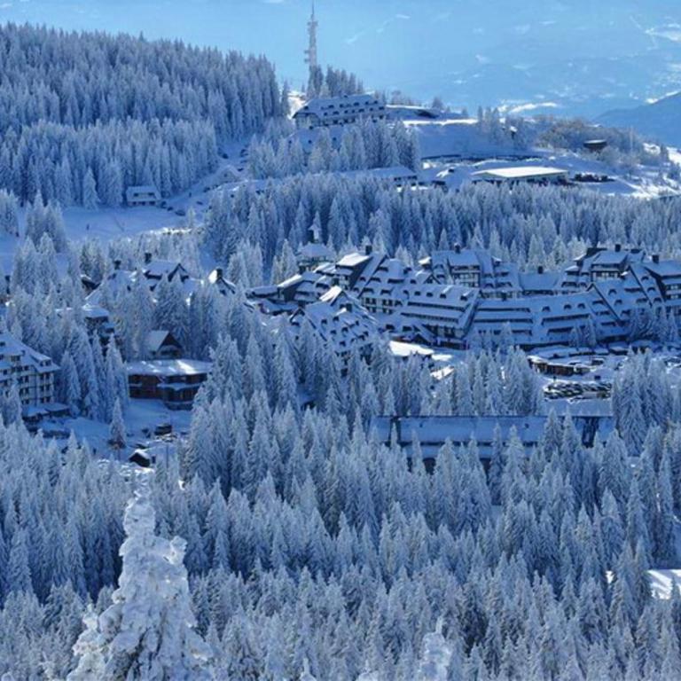 Brvenik 105, Konaci - Kopaonik - Apartman sa 1 Spavaćom Sobom - 5