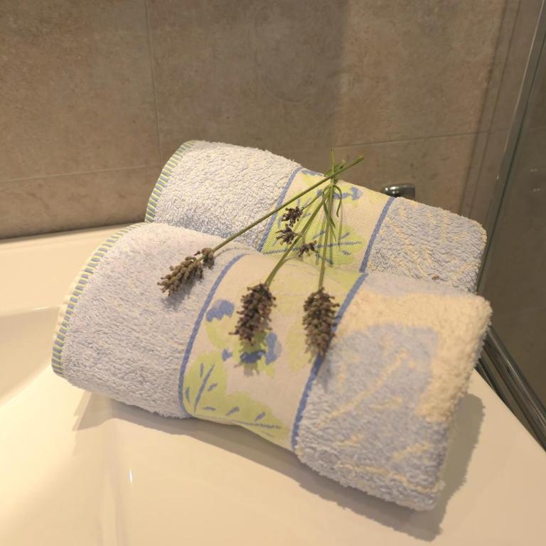 Gite les Citronniers - Maison 1 Chambre - Rez-de-Chaussée - 16
