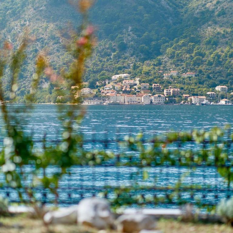 Villa Marina - A Slice of Paradise - Villa - 20