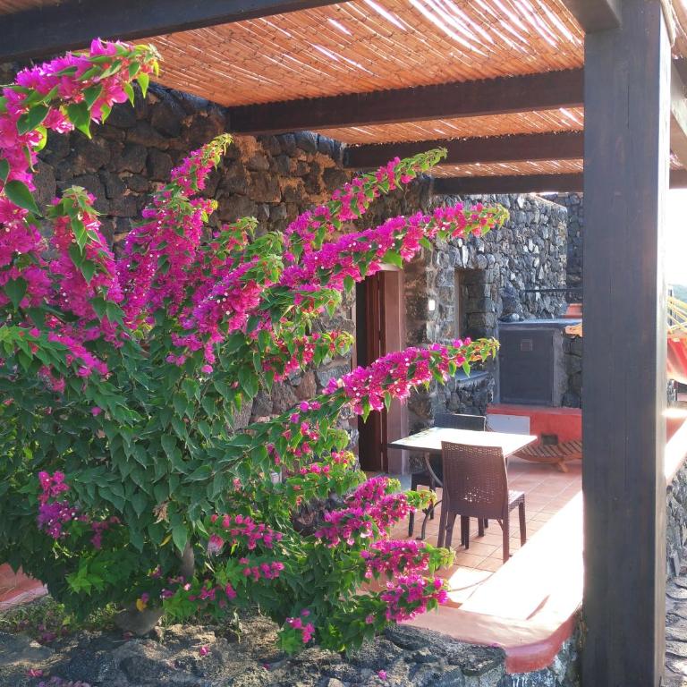 La Cala Cottone Relais - Ferienhaus - 3