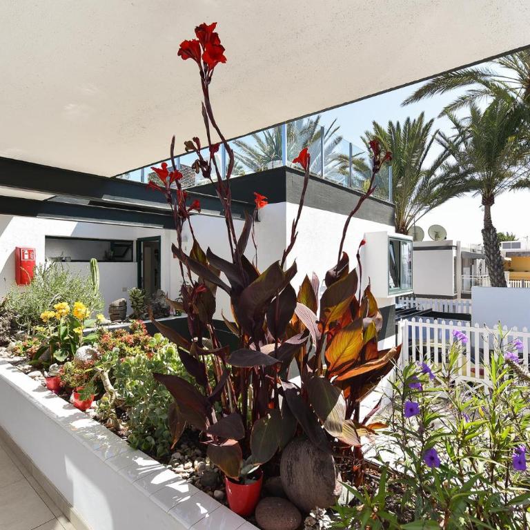 Maspalomas Beach Apartment Charca 1 by VillaGranCanaria - Apartamento con vistas al mar - 21