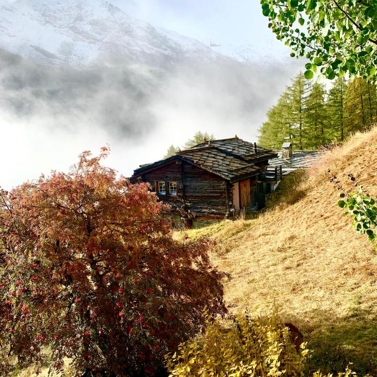 Châlet Birkhahn - Chalet - 54