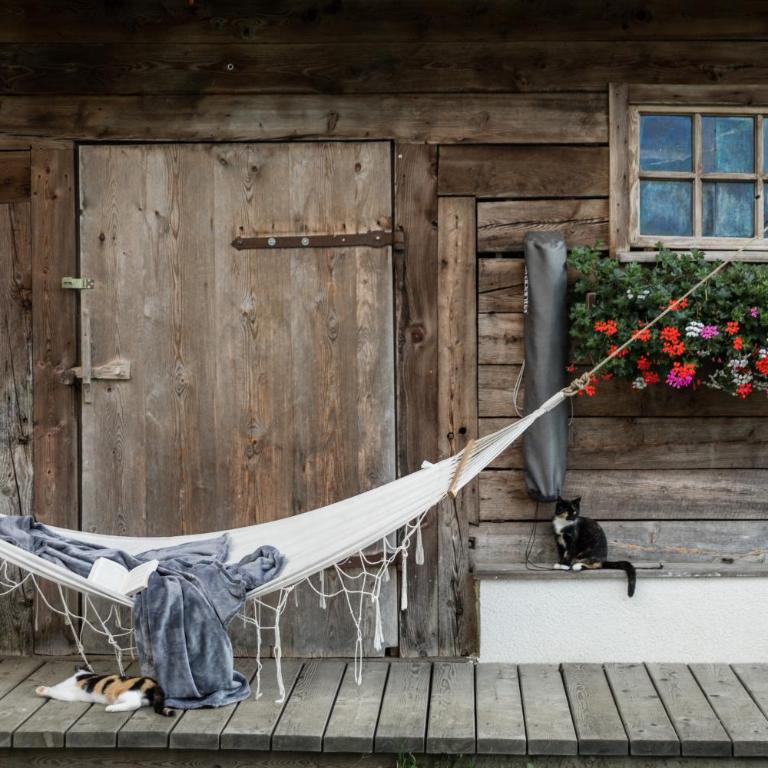 DAS "ZwisleggGut" - Haus mit 2 Schlafzimmern - 15