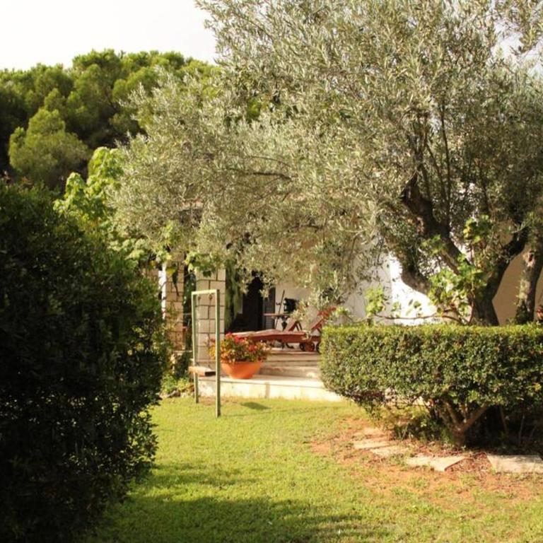 Villa di campagna vicino al mare - Casa con 1 Camera da Letto - 1