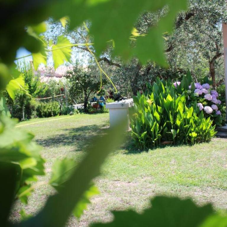 Villa di campagna vicino al mare - Casa con 1 Camera da Letto - 15