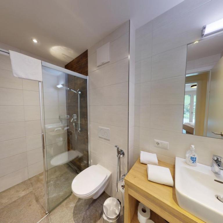 Appartement Kitzsteinhorn -Summercard included - Superior Apartment mit 1 Zimmer und Balkon – obere Etage - 4