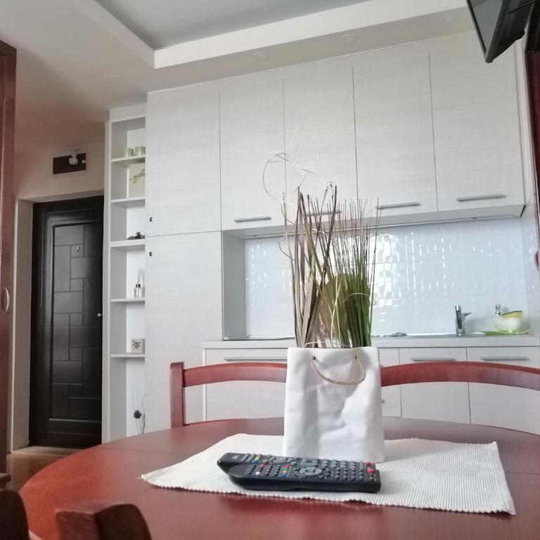 Apartment Lavina Kopaonik - One-Bedroom Apartment - 19