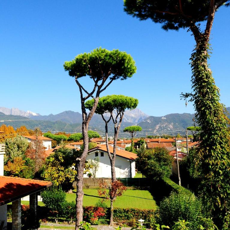 Olive Beach Forte dei Marmi - Casa con 4 camere da letto - 24