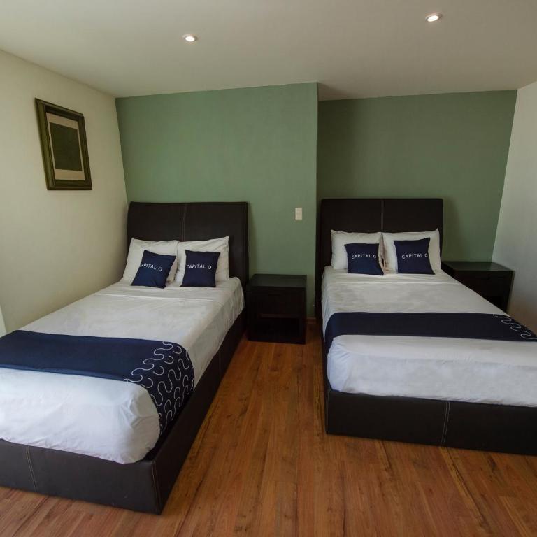 Casa Tanimisha - Junior Suite - 4