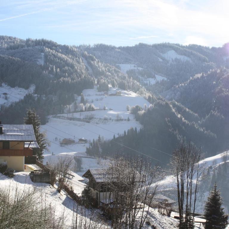 Mühlbach Alpendomizil II - Studio-Apartment - 24
