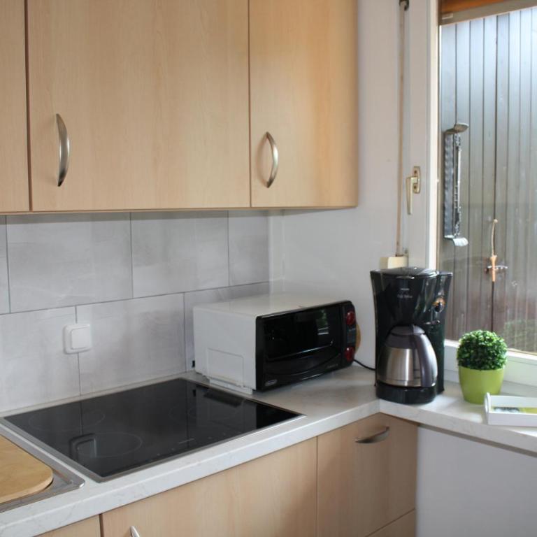 Mühlbach Alpendomizil II - Studio-Apartment - 9