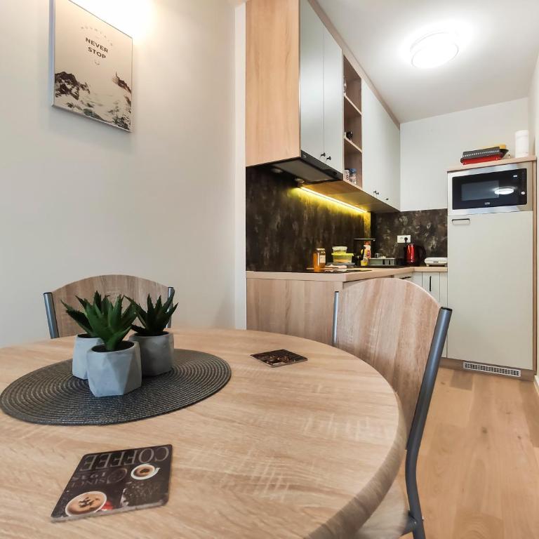 Apartmani Jahorina Olimpijska kuca - Apartment with Mountain View - 23