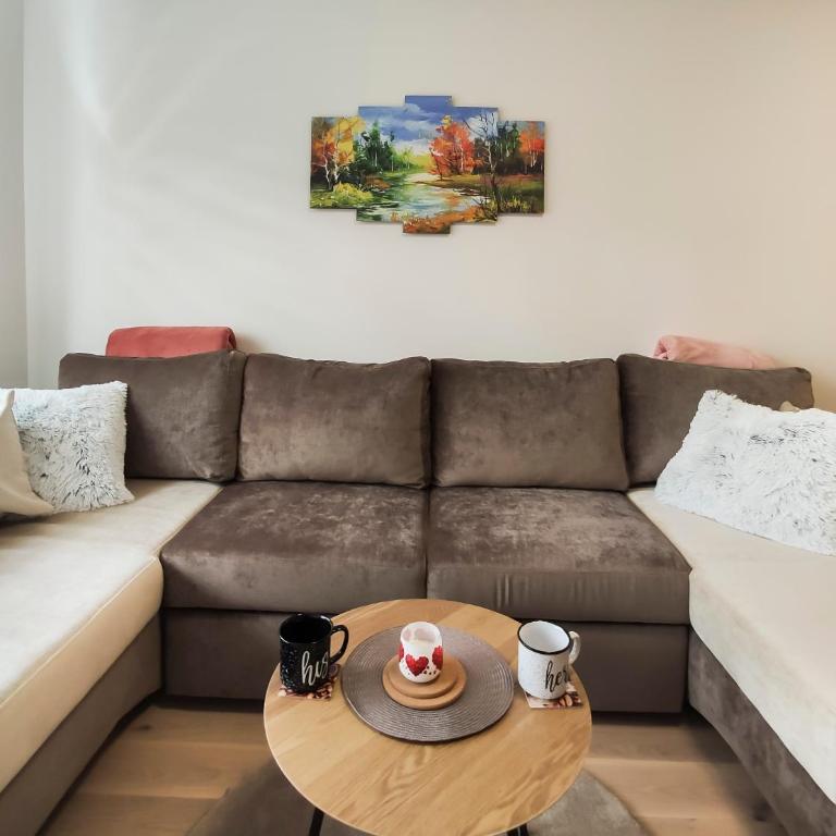 Apartmani Jahorina Olimpijska kuca - Apartment with Mountain View - 10