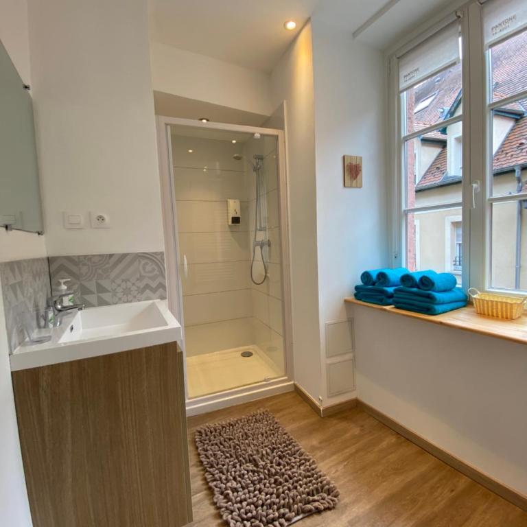 L'Ours de Colmar - Appartements en centre ville - Appartamento - 1° Piano - 5