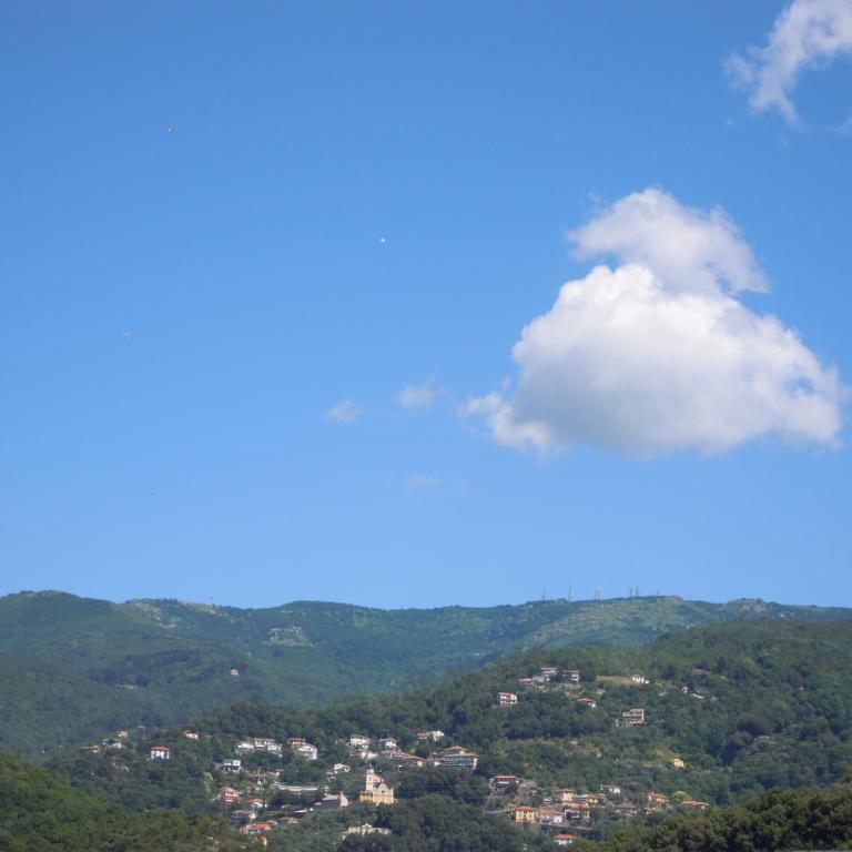 Genovese Villa Elena Appartamenti - Appartement 1 Chambre - 5