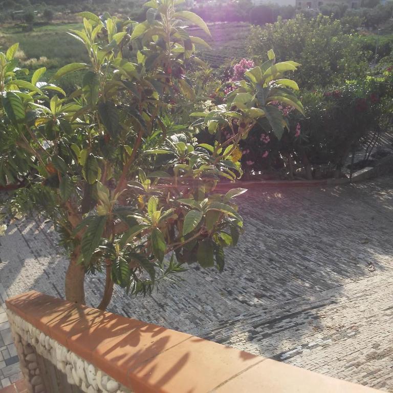 Villa Teresa - Appartamento con 1 Camera da Letto - 50