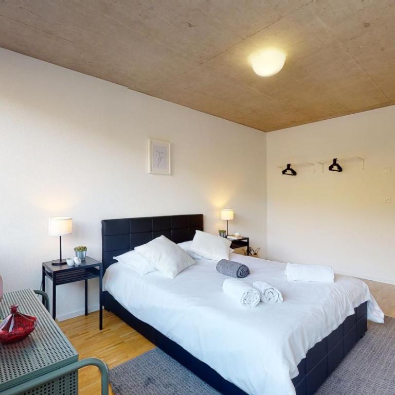 Bright and luminous 2-bedroom-flat in downtown - Apartamento de 2 dormitorios - 16
