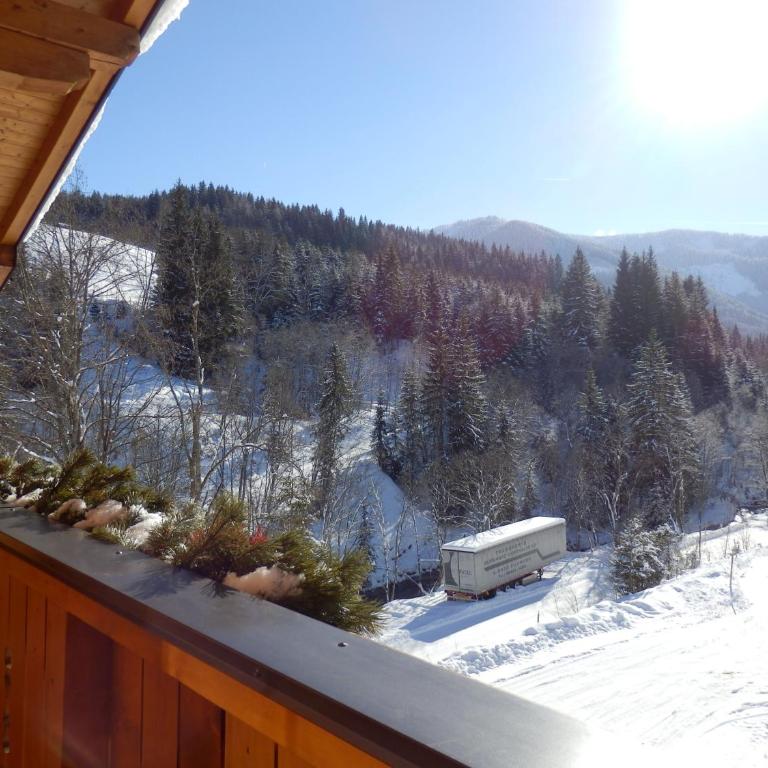 Haus Sonnental - Apartment mit 1 Schlafzimmer und Balkon - 1