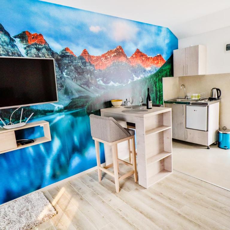 Simo apartments airport Podgorica - Studio Apartment - 11