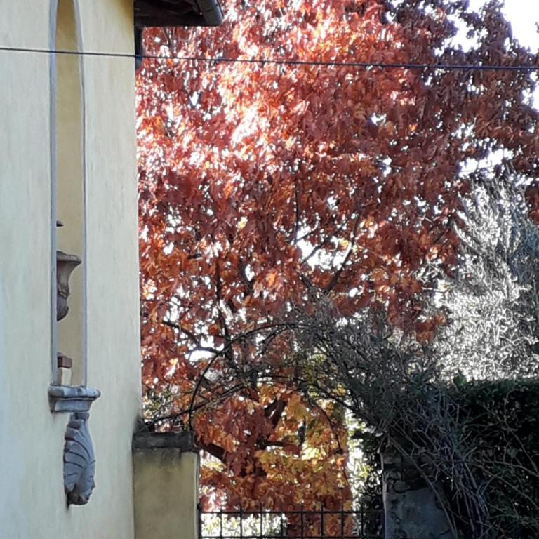 Villa Le Pergole- Firenze - Suite Deluxe con Angolo Cottura - 11