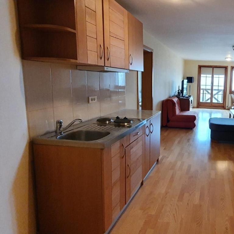Apartman 117 Jahorina-privatni apartman u hotelu Vučko - Apartment with Balcony - 11