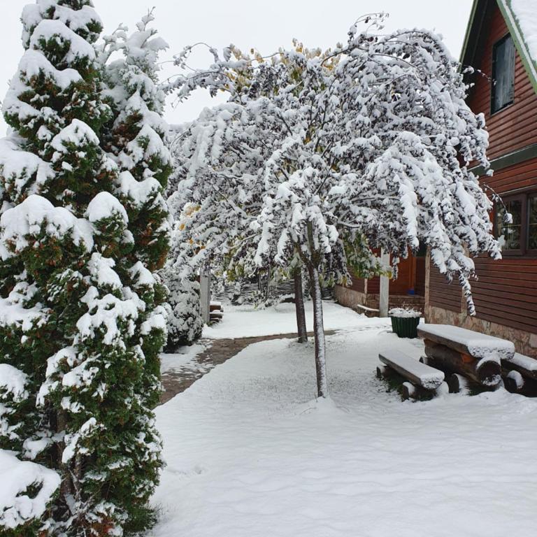 Holiday Home Vile Calimero - Two-Bedroom House - 9