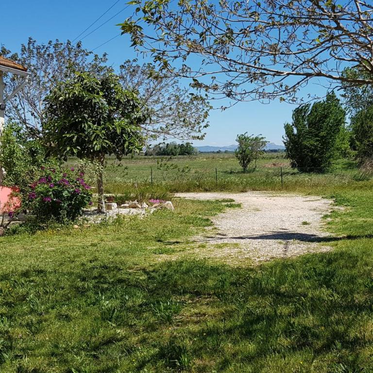 Petite maison refaite à neuf dans mas du 19ème siècle - Two-Bedroom House - 15