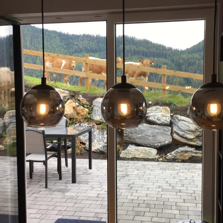 Traumblick Dachstein - Apartment mit 2 Schlafzimmern - 31