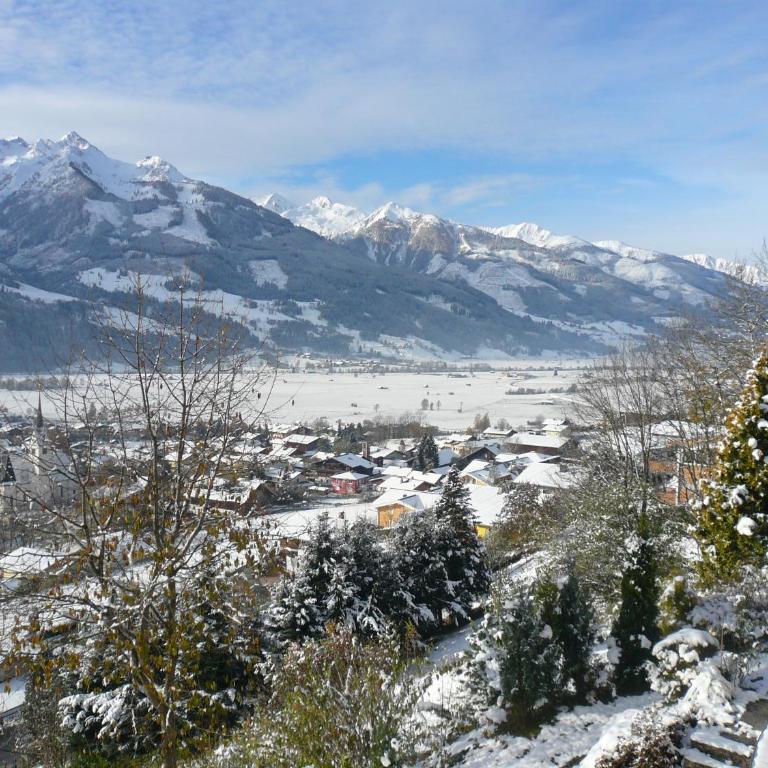 Alpenappartement Claudia - Standard Studio mit Balkon und Bergblick - 11