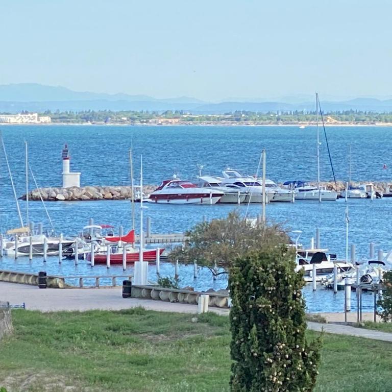 Studio front de mer avec vue mer panoramique ! - Studio - Vue sur Mer - 18