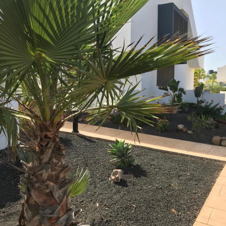 Casa Soleada - Villa de 3 dormitorios - 10