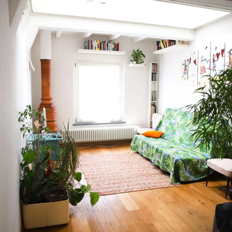 La Casina - Appartamentino su 2 Livelli - 9