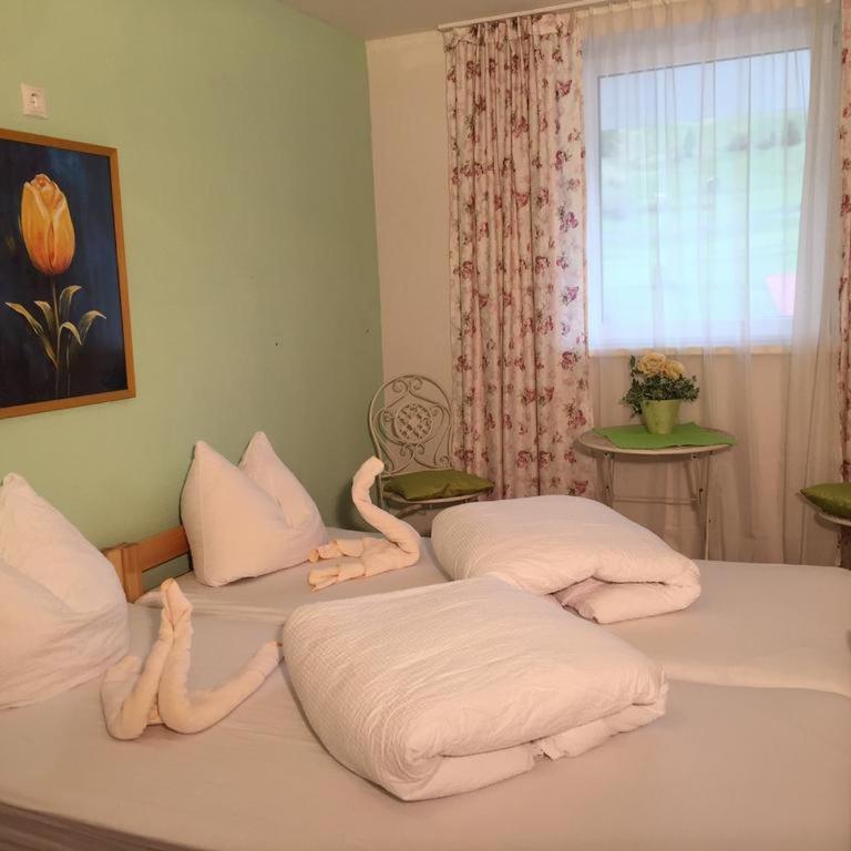 Ibex Hostel - Doppelzimmer mit Gemeinschaftsbad - 2