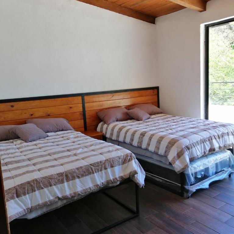 Mazamitla Pinos del Rio - Habitación Cuádruple con bañera - 15