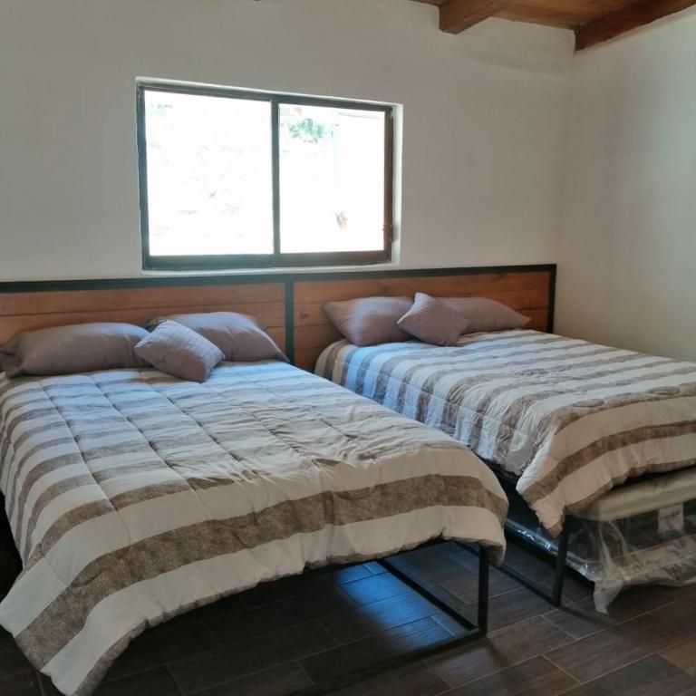 Mazamitla Pinos del Rio - Habitación Cuádruple con bañera - 32
