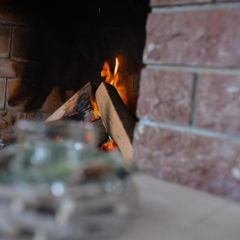 Ski House Tornik Zlatibor - Vacation Home - 42