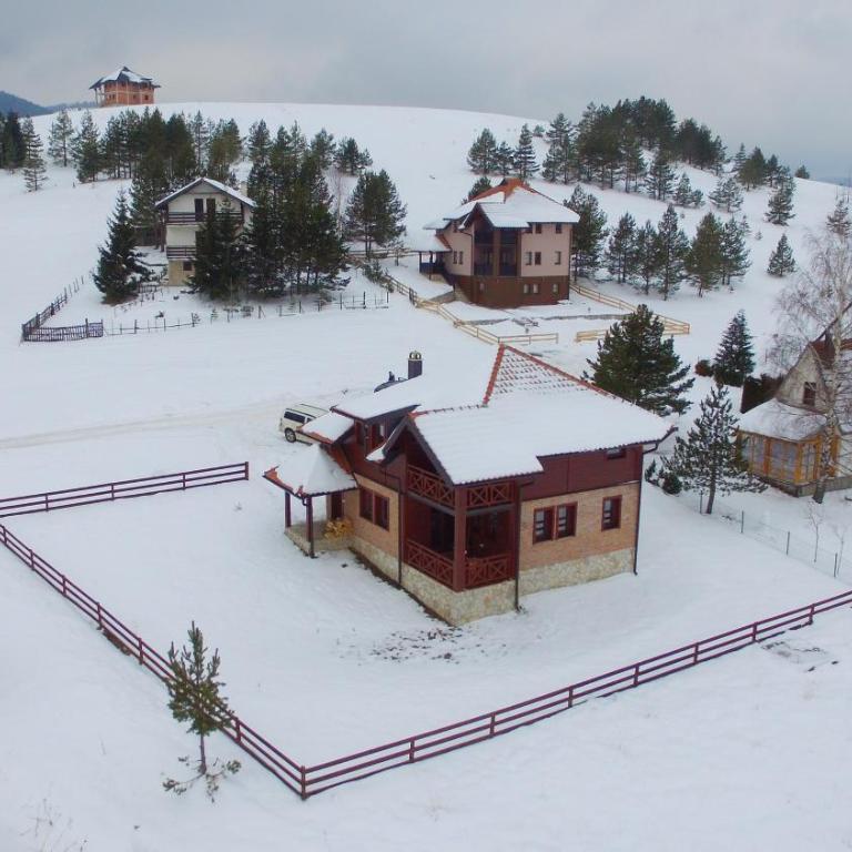 Ski House Tornik Zlatibor - Vacation Home - 50