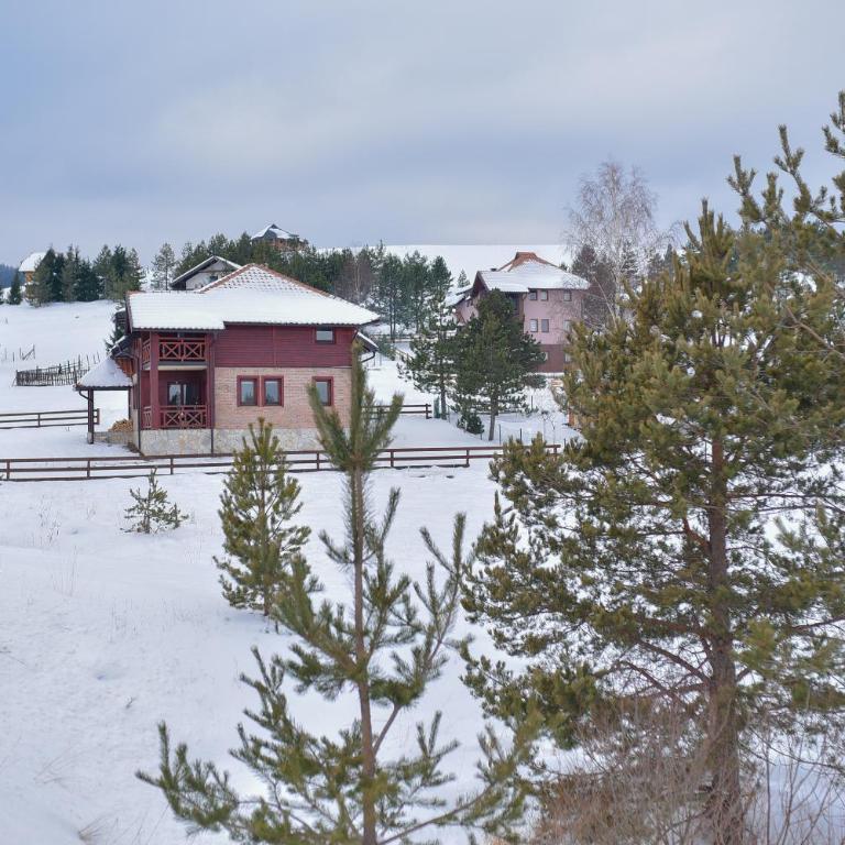 Ski House Tornik Zlatibor - Vacation Home - 48