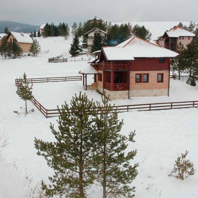 Ski House Tornik Zlatibor - Vacation Home - 47