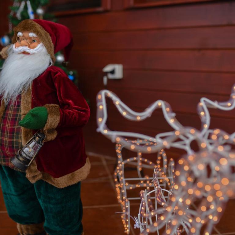 Ski House Tornik Zlatibor - Vacation Home - 35